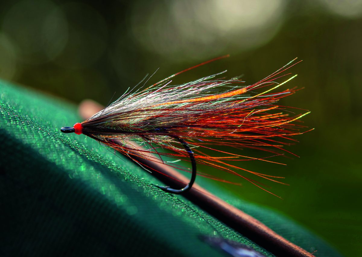 BLOG - Ahrex Hooks