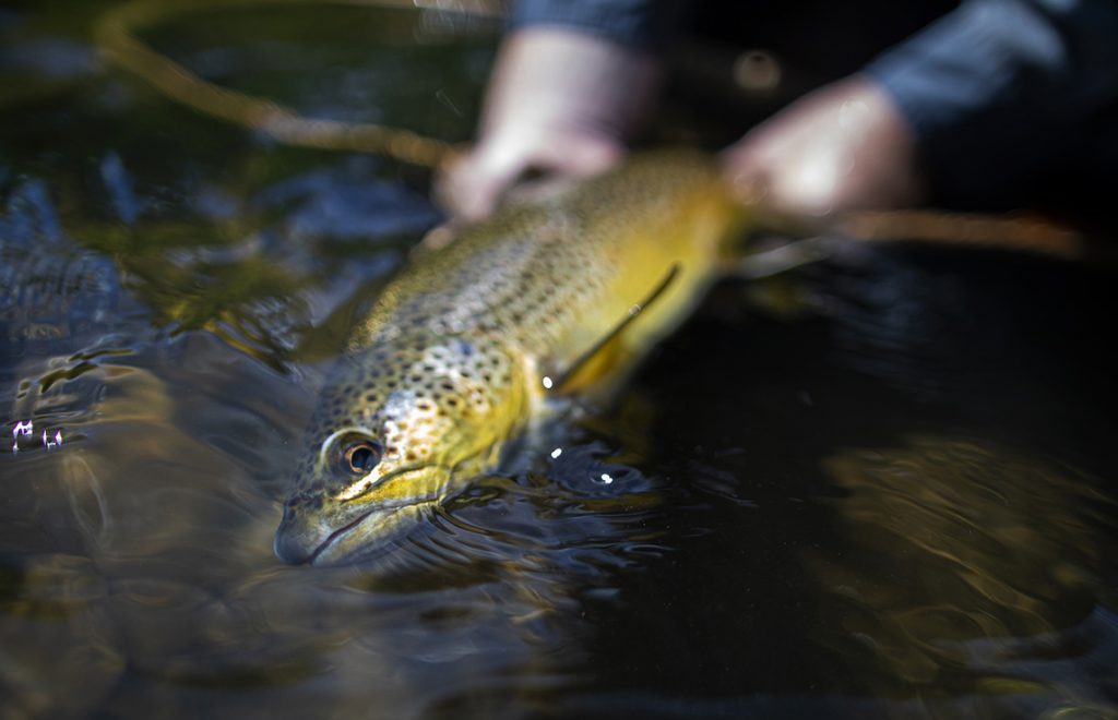 Gore-Tex Exstream Hat by Simms - Fly Fishing, Gink and Gasoline, How to Fly  Fish, Trout Fishing, Fly Tying