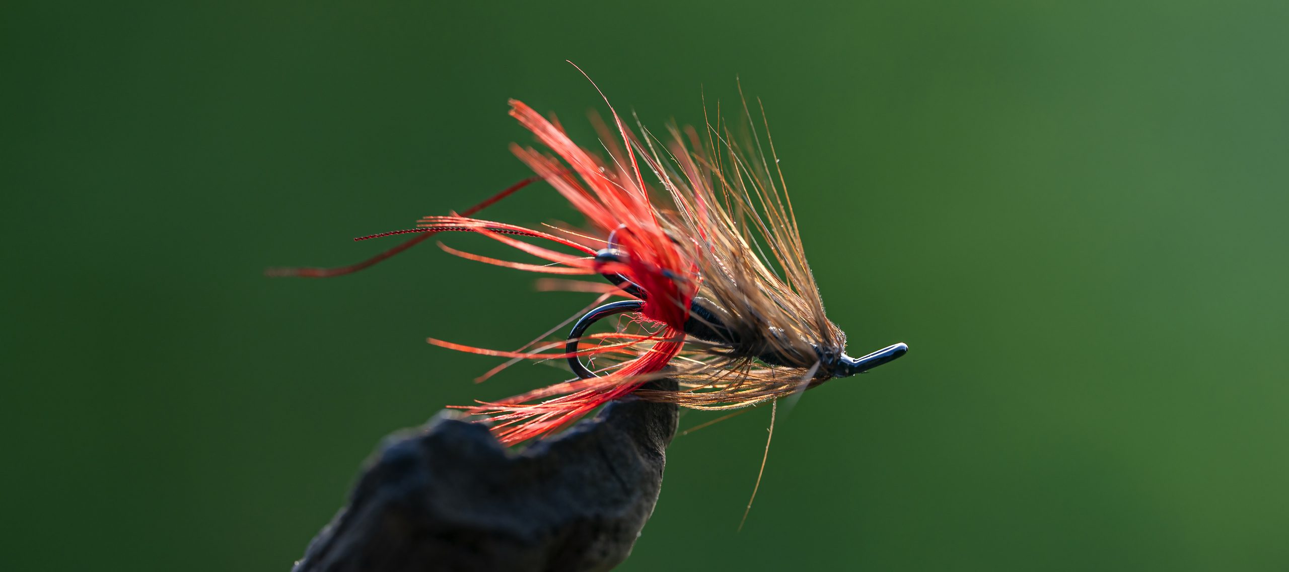 FW500/501 – DRY FLY TRADITIONAL - Ahrex Hooks