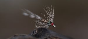 LE880 – Wet Fly