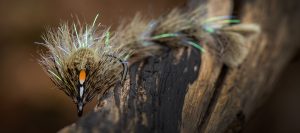 XO784 – BC Game Changer