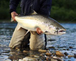 Salmon Fishing in Norway
