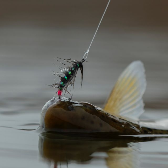Ahrex PR374 90-Degree Bent Jig Streamer Hook – Fly Artist